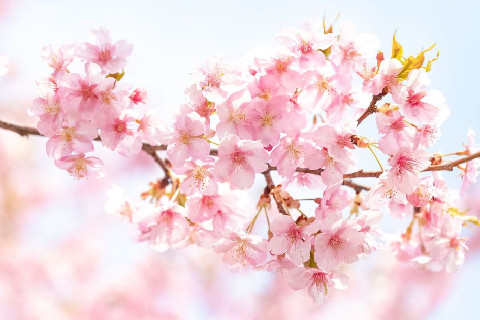 ビジネス環境におけるメンタルタフネスの重要性を象徴する画像